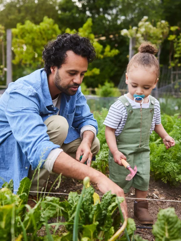 Vater zeigt Kleinkind wie man gärtnert